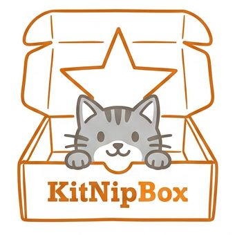 Standard box open - themed toy variety pack