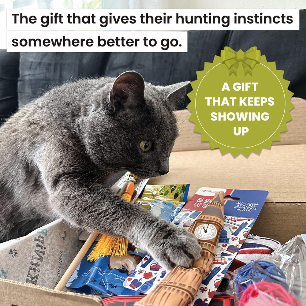 KitNipBox gift box