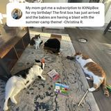 Christina R. review - cats with summer-camp box