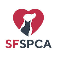 SF SPCA