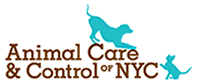 Animal Care and Control