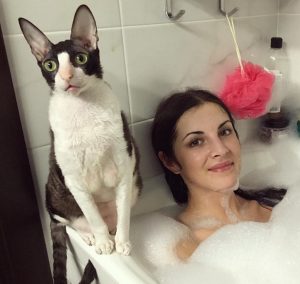 Relaxing with Cat: Mainataining an life of health and wellness