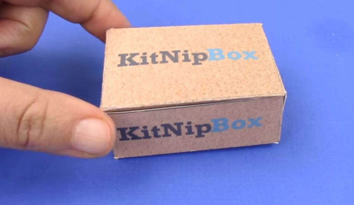 A DIY Mini KitNipBox? Fluff Yes! Here’s How to Make It…