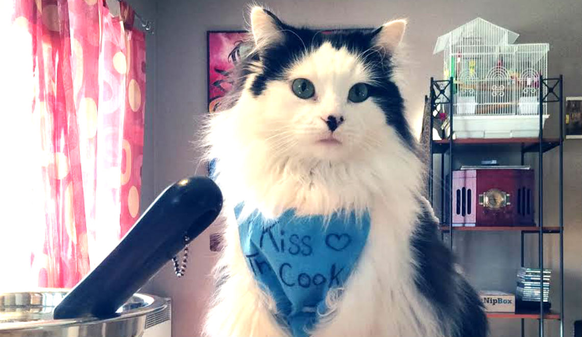 Kitty Chef cooks up cat treats and human food