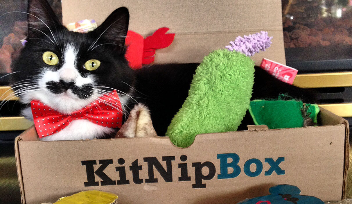 And the 'Best Pet Subscription Box' Award Goes To... KitNipBox!