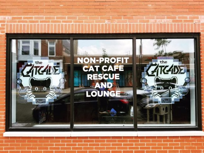 Chicago's FirstEver Cat Cafe AND Arcade... Catcade!