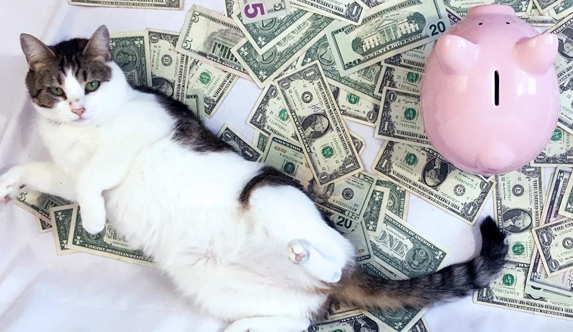 Cost of owning a cat